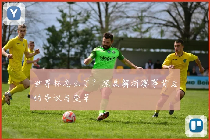 世界杯怎么了?深度解析赛事背后的争议与变革