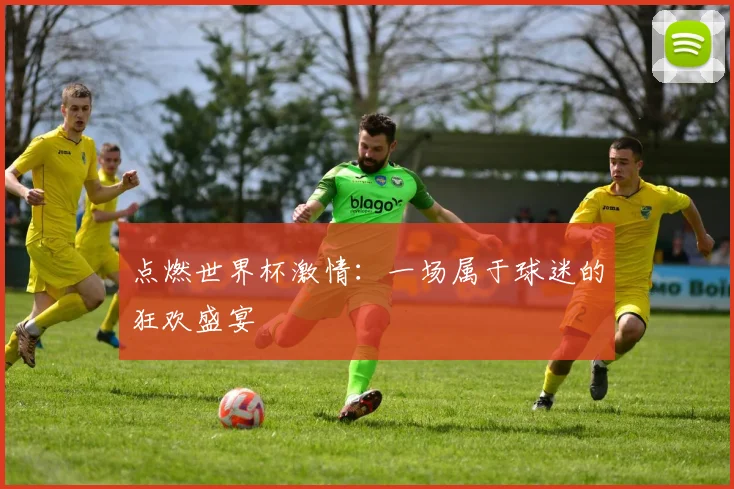 点燃世界杯激情：一场属于球迷的狂欢盛宴