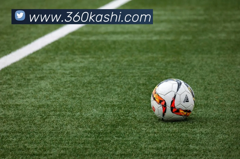 leyu乐鱼电竞app官网登录入口品牌故事