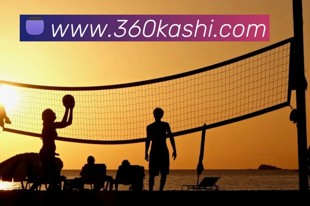 leyu乐鱼电竞app官网登录入口服务体系